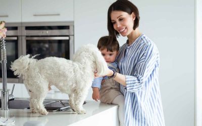 Eased Edge Countertop Guide [Stunning Profile Edition]